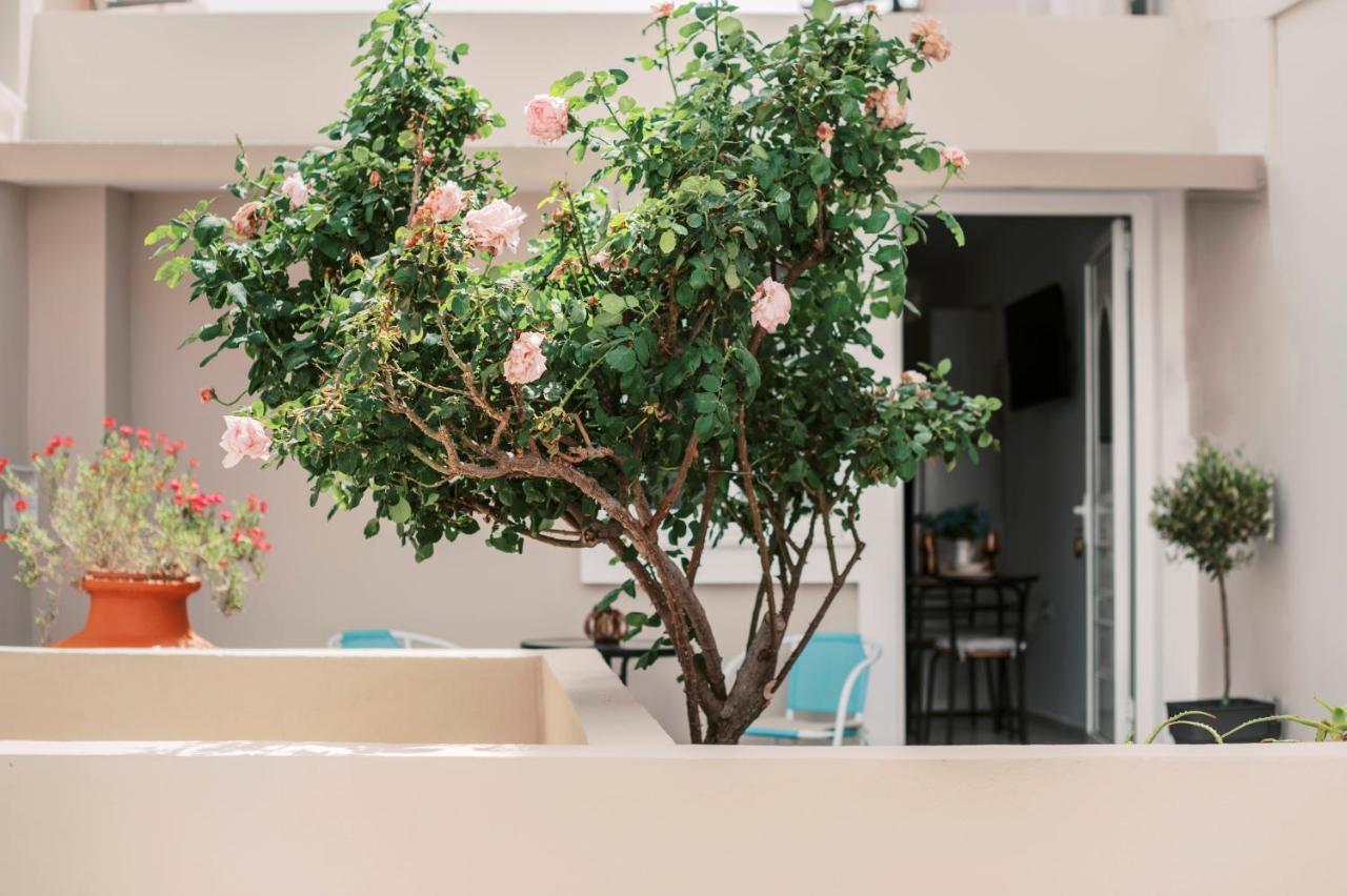 Appartement Fay's